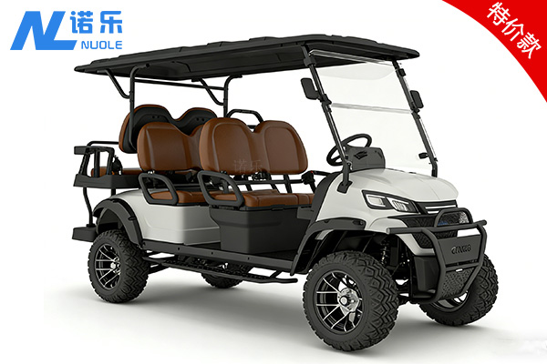 6座特价观光车（NL-JA4+2G）