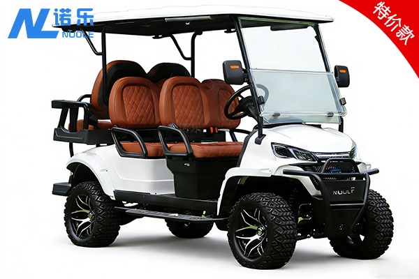 6座特价观光车（NL-JA4+2G）